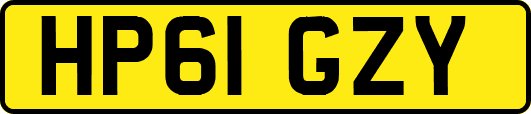 HP61GZY