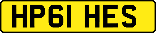 HP61HES