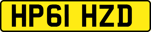 HP61HZD