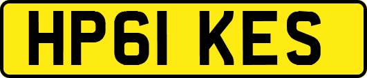 HP61KES