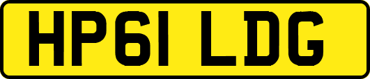 HP61LDG
