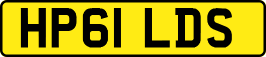 HP61LDS