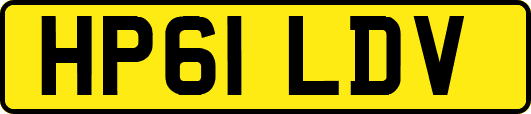 HP61LDV
