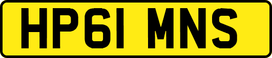 HP61MNS