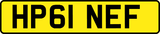 HP61NEF