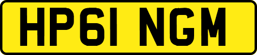HP61NGM