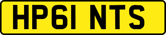 HP61NTS