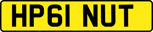 HP61NUT