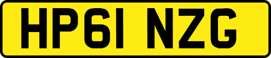 HP61NZG