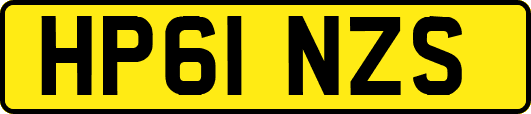 HP61NZS