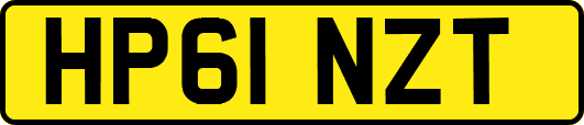 HP61NZT