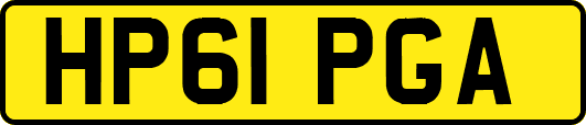 HP61PGA