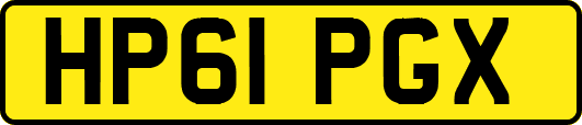 HP61PGX