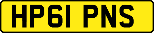 HP61PNS