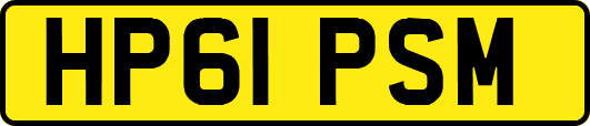 HP61PSM