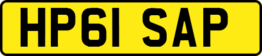 HP61SAP