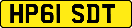 HP61SDT