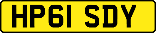 HP61SDY
