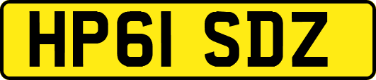 HP61SDZ