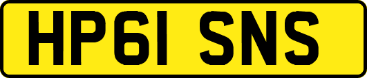 HP61SNS