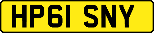 HP61SNY