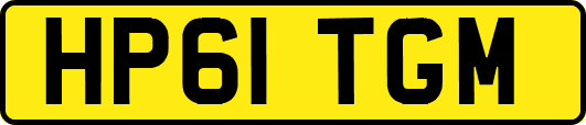 HP61TGM