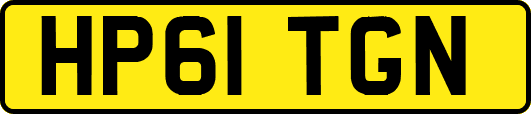 HP61TGN