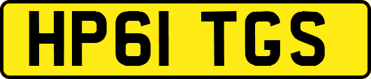 HP61TGS