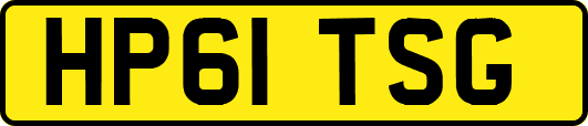 HP61TSG