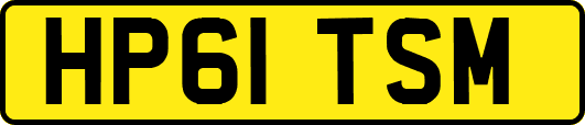 HP61TSM