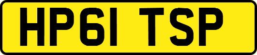 HP61TSP