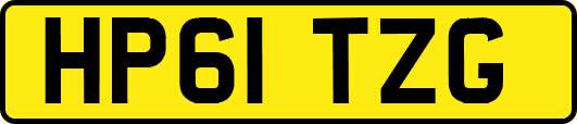 HP61TZG