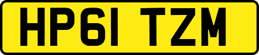 HP61TZM