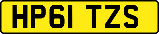 HP61TZS