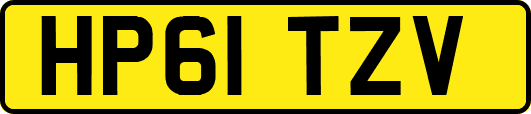 HP61TZV
