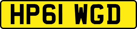 HP61WGD