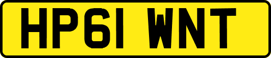 HP61WNT