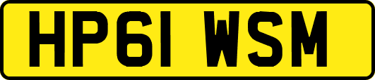 HP61WSM