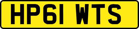 HP61WTS