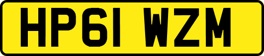 HP61WZM