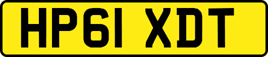 HP61XDT