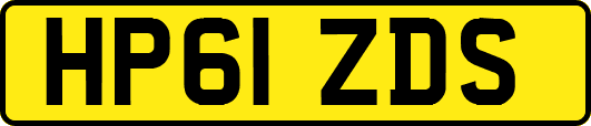 HP61ZDS