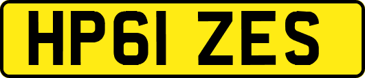 HP61ZES
