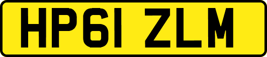 HP61ZLM
