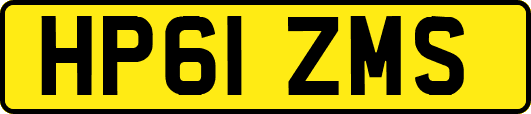 HP61ZMS
