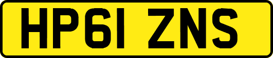 HP61ZNS