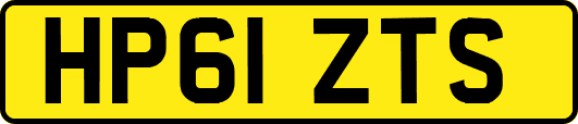 HP61ZTS