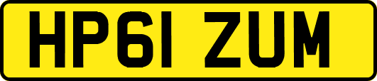 HP61ZUM
