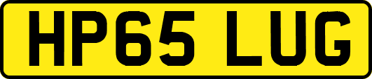 HP65LUG