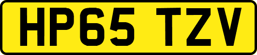 HP65TZV
